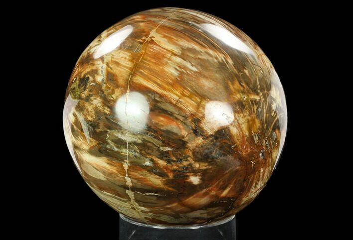 Colorful, Petrified Wood Sphere - Madagascar #122537